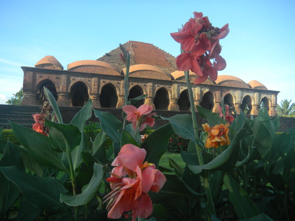 DSCN5696.jpg