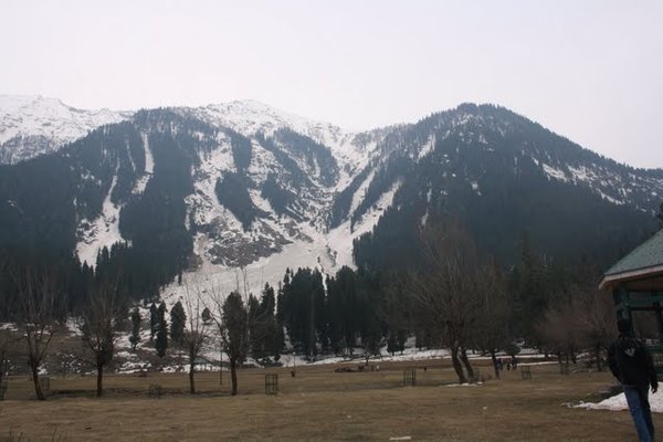 IMG_5788.jpg