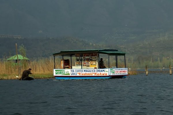 IMG_2634.jpg