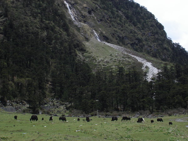 DSC00086.jpg