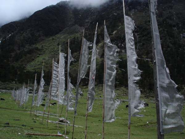 DSC00085.jpg