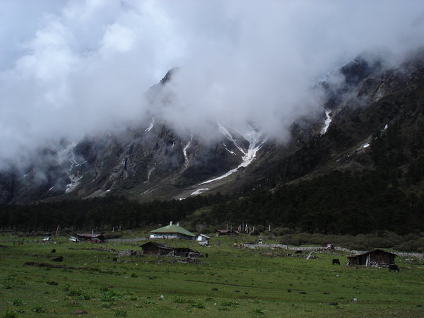 DSC00056.jpg