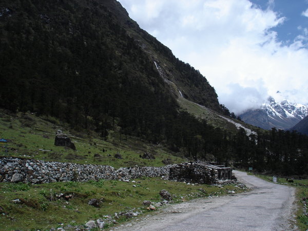 DSC00089.jpg