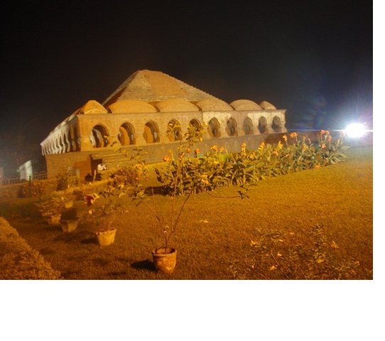 P1010002.jpg