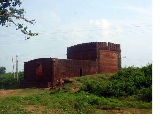 P1010160.jpg