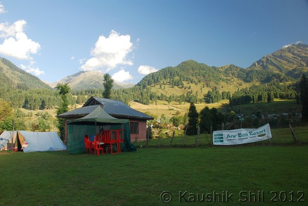 Name: DSC_0109.jpg
Views: 812
Size: 49.0 KB