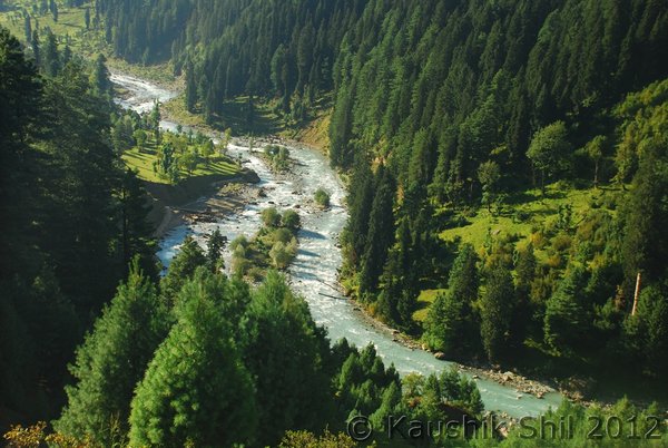 Name:  DSC_0119.jpg
Views: 802
Size:  72.8 KB