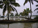 where-are-you-in-your-india-dreams-backwater-scenery-small.jpg