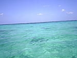 lakshadweep-trip-report-s4010961.jpg