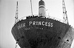 shipwreck-at-candolim-riverprincess02.jpg