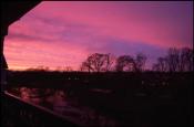 this-is-where-i-live-hhhh.jpg