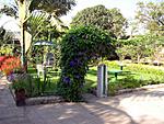 kolkata-puri-trip-kolkata-portion-z-hotel-garden-w.jpg