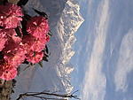 magnificent-five-panchachuli-peaks-a177.jpg