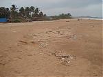 calangute-beach-at-it-s-worst-calangutebeach2.jpg