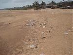 calangute-beach-at-it-s-worst-calangutebeach3.jpg