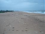calangute-beach-at-it-s-worst-calangutebeach4.jpg