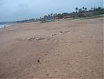 calangute-beach-at-it-s-worst-calangutebeach5.jpg