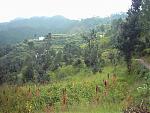 settling-in-hills-with-low-buget-after-reaching-sult.jpg