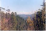 kumaon-views-mukteshwar-or-almora-khim-s-pappersalli.jpg