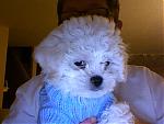 show-us-a-picture-of-your-pet-photo-4.jpg