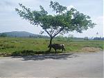 goa-to-karwar-verna.jpg