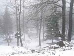 living-in-a-quiet-town-near-manali-dsc09889.jpg