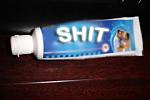 insect-repellent-deet-odomos22222.jpg
