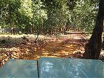dudh-sagar-water-falls-img_0699.jpg