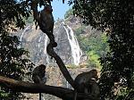 dudh-sagar-water-falls-img_0708.jpg