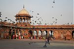 photo-please-extortionists-pigeons2.jpg