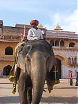how-to-go-to-amber-from-jaipur-a.jpg