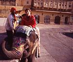 jaipur-elephants-rupa1.jpg