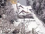 snowfall-in-darjeeling-15darj6.jpg
