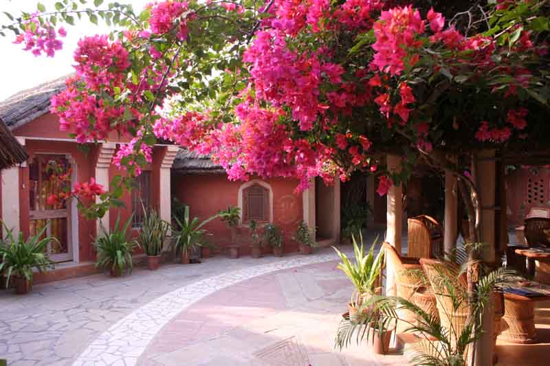 Apani Dhani Nawalgarh.jpg