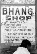avoiding-bhang-lassi-bhang-20shop.jpg