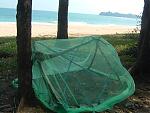 need-info-hut-bay-little-andamans-and3.jpg