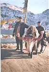 Exploring adventure on sangla, kaza , kunzum manali delhi-s10.jpg