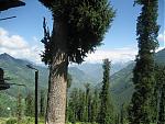 rampur-jalori-pass-kullu-shoja-092.jpg