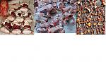 goa-frogs-yummiefrog.jpg