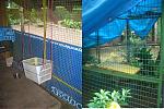 animals-and-shelters-3-cat-swing-and-viewing-shelf.jpg