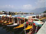 srinagar-city-and-side-trips-a-trip-report-s4013998.jpg