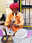 another-snake-in-my-garden-indian-snake-charmer.jpg