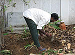 another-snake-in-my-garden-snake-catcher.jpg