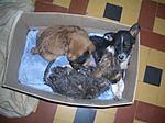 look-what-i-found-this-evening-goanthreesome.jpg
