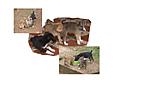 look-what-i-found-this-evening-monsoonpups.jpg