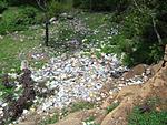 project-save-nandi-cimg0063.jpg