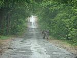 trip-report-drive-to-chattisgarh-picture-011.jpg