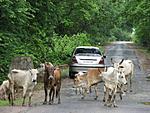 trip-report-drive-to-chattisgarh-picture-016.jpg