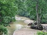 trip-report-drive-to-chattisgarh-river1.jpg