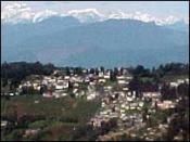 tourists-flock-to-darjeeling-festival-darjeeling-1.jpg